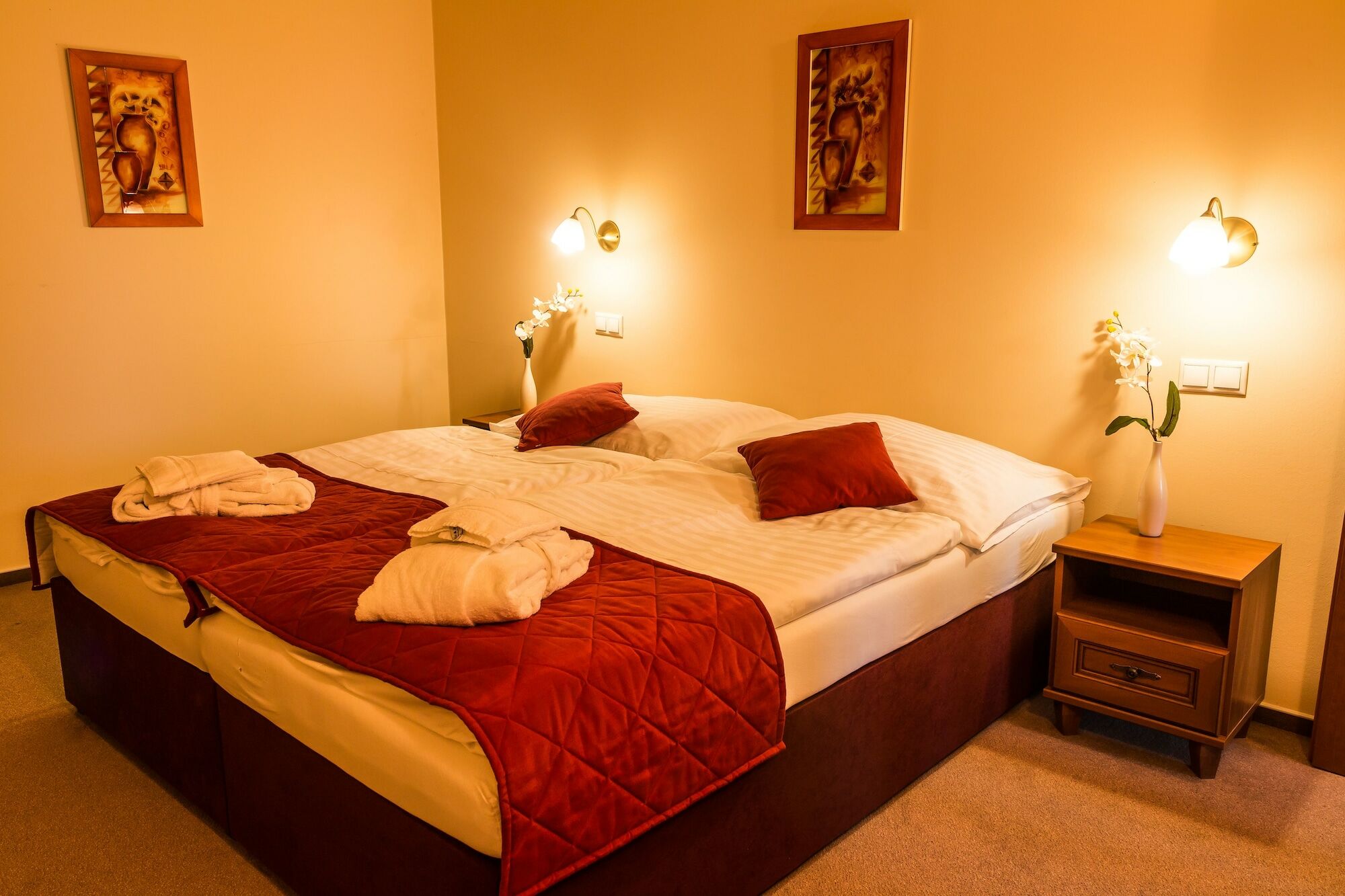 Hotel Dixon So Vstupom Do Bazena A Virivky Zdarma - Free Entrance To Pool And Jacuzzi Included Banska Bystrica Exterior photo